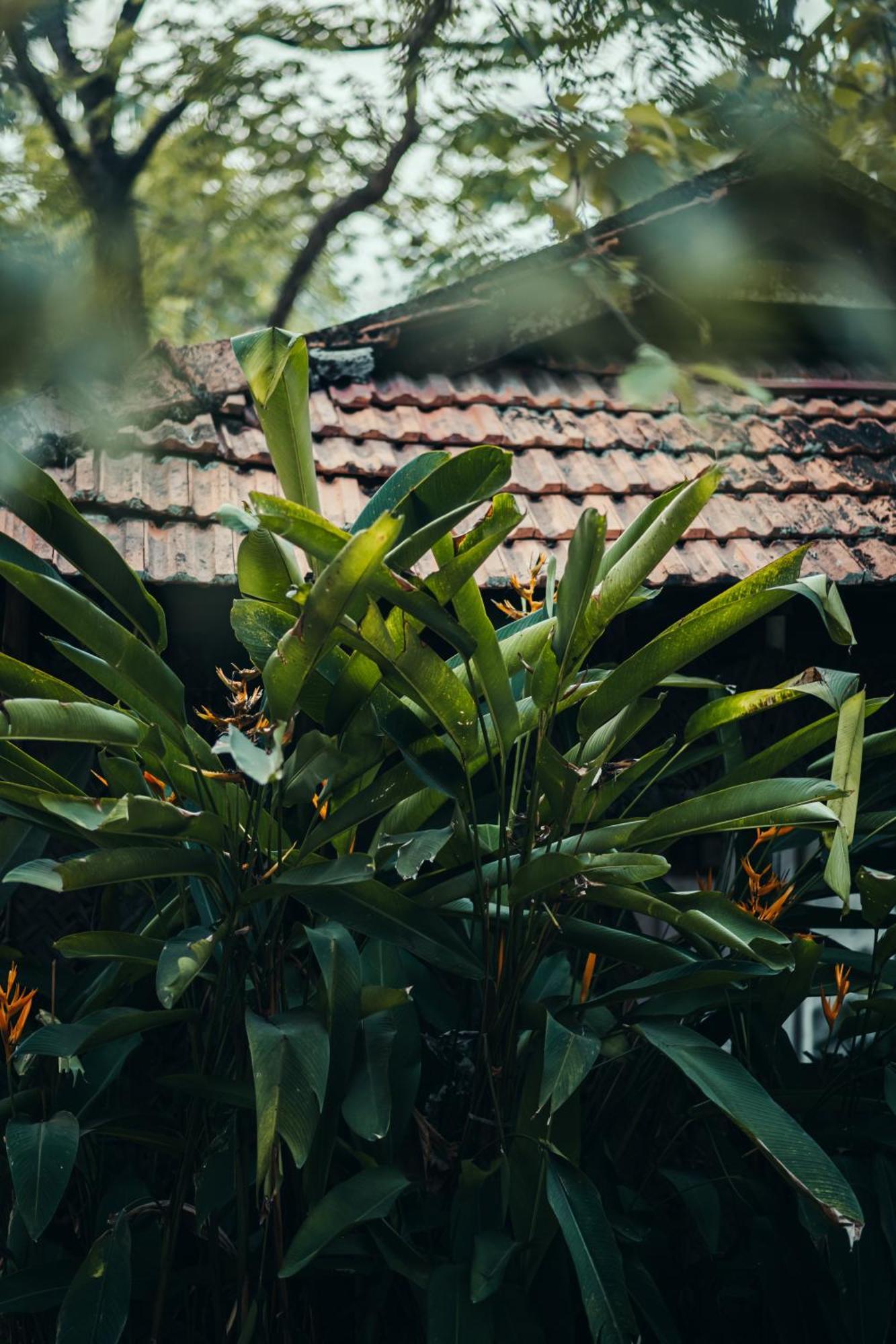 Bed and Breakfast Paddlecult Surf Retreat Varkala Exterior foto