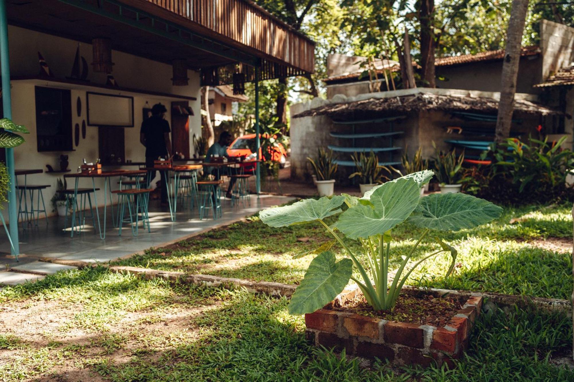 Bed and Breakfast Paddlecult Surf Retreat Varkala Exterior foto